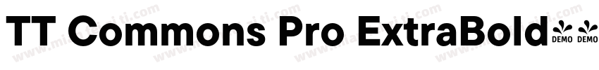 TT Commons Pro ExtraBold字体转换